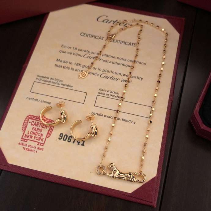 Picture of Cartier Sets _SKUCartiersuits01lyx31554